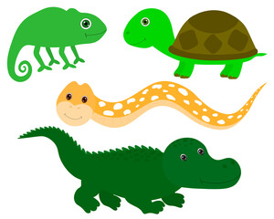 Set Cute Animal Turtle Chameleon Crocodile Snake Vector Illustration