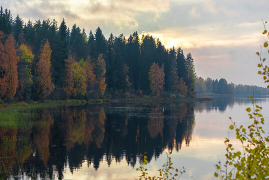 Autumn colours in the tree at a lake in Finland © Leon
