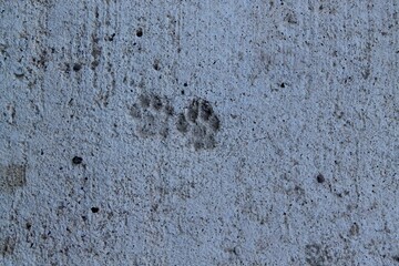 footprint on the sand