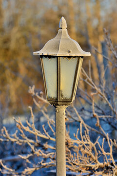Fototapeta Old street lamp with frost