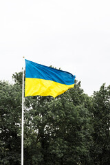 Ukrainian flag flying on a flagpole in against the white sky and trees. The flag of Ukraine is waving in a wind, vertical image.