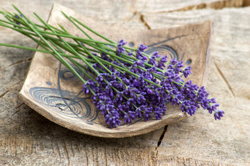 Obraz na płótnie Canvas Bunch of lavender flowers on clay plate