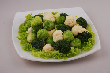 Set of the different varieties of cabbage Cauliflower, Brussels, Broccoli sprouts