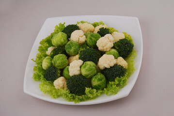 Set of the different varieties of cabbage Cauliflower, Brussels, Broccoli sprouts