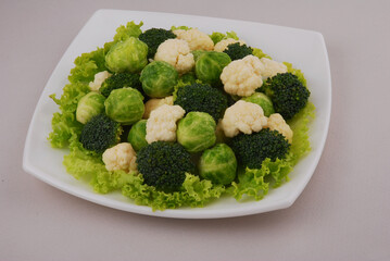 Set of the different varieties of cabbage Cauliflower, Brussels, Broccoli sprouts