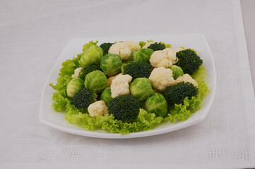 Set of the different varieties of cabbage Cauliflower, Brussels, Broccoli sprouts