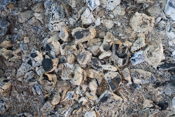 texture of coals with ash in a brazier
