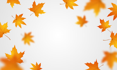 Sale poster design for autumn With leaves not falling beautifully on the background