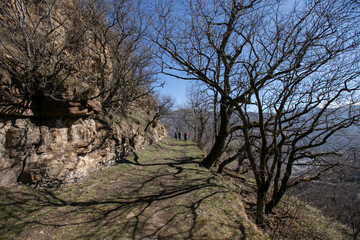 Fototapeta premium mountain road, the shadow of the branches of trees, a trip to Karachay-Cherkessia Republic