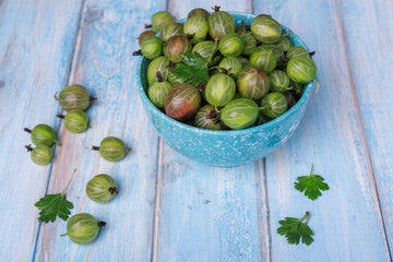 Fresh gooseberries in ceramice bowl on blue wooden background