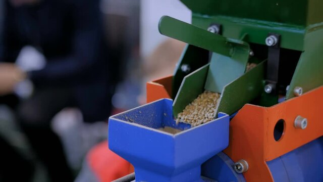 Part of pet food grain mill machine: mixed feed production line at factory, plant, exhibition, trade show. Farming, technology equipment, agriculture industry, animal husbandry concept