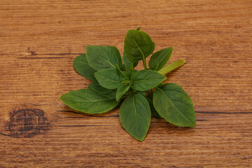 Aroma seasoning - Green Basil leaves