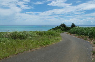 エメラルドグリーンの水平線の見える海と蛇行した道