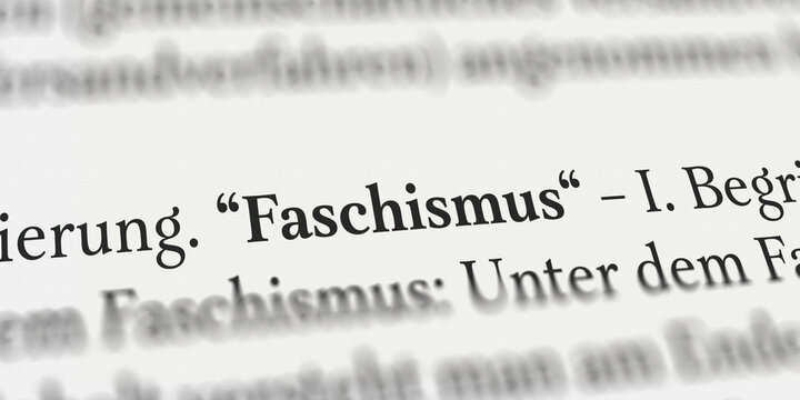 Faschismus im Buch
