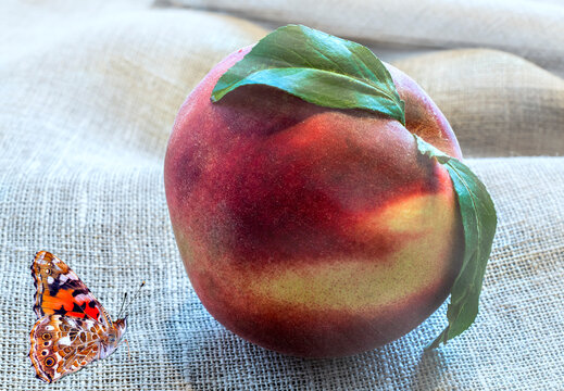 Peach with leaves on textured background of linen napkin, selected focus of fruit