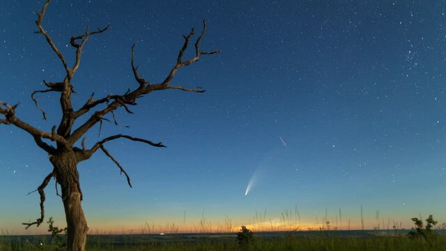 Time lapse of comet C/2020 F3 (NEOWISE), or Comet NEOWISE over a tree. Comet and noctilucent clouds scenic time lapse.
