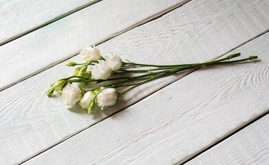 bouquet with small buds of white roses flowers on a light background