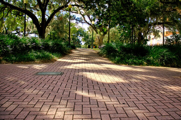 Beautiful Water Fountain and Relaxing Scenic view around town