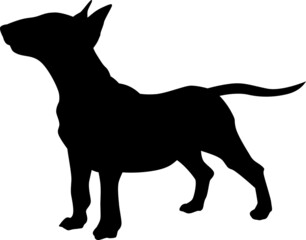 Bull terrier dog vector silhouette