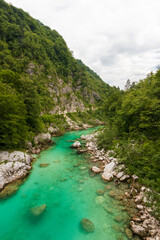 Fototapeta na wymiar Turquoise green Soča river Slovenia