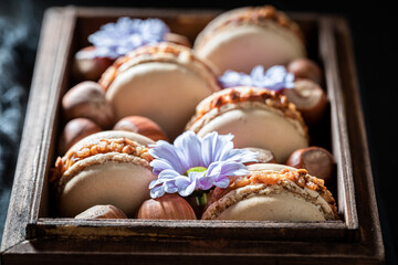 Homemade hazelnut macaroons in dark wooden box