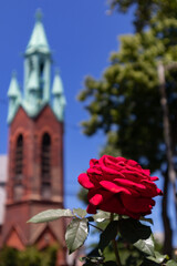 Beautiful Red Rose and an Old Church Steeple in the Background in Astoria Queens New York during Spring