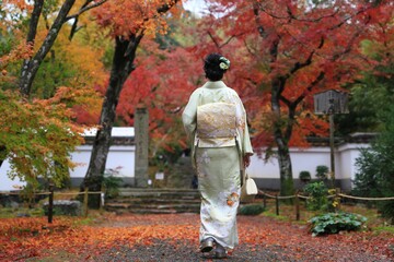 Obraz premium japanese woman in kimono standing in front of buddhism temple gate