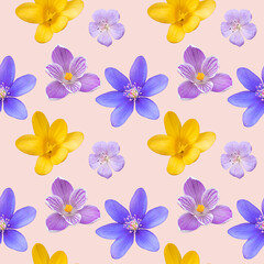 Seamless pattern of spring and summer flowers. Bright wild, forest and meadow flowers.