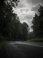 Naklejka premium road in the forest