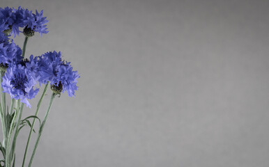 Bouquet of bright blue flowers. Bouquet of wildflowers on a white background.