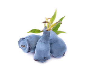 Fresh honeysuckle blue berry fruits with leaf, isolated on white background.