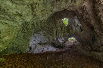 Pokljuka cave in pokljuka plateau in Julian Alps, Slovenia