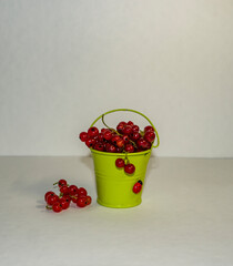 etude, still life, white, background, food, bunches, round, ripe, berries, red, currant, small, decorative, green, bucket