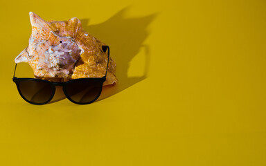 Stylish Sunglasses and Seashell on Bright Yellow Background.