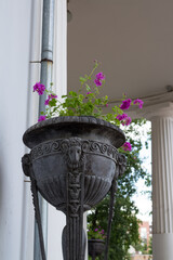 .A fragment of a cast-iron vase on legs with rams, standing at the pavilion, decorated with white...