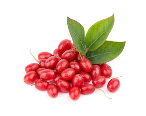 Elaeagnus multiflora isolated on white background. Cherry elaeagnus, cherry silverberry, goumi, gumi.