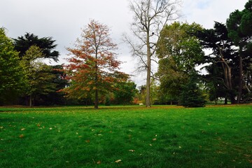 Obraz premium Kew Gardens, England