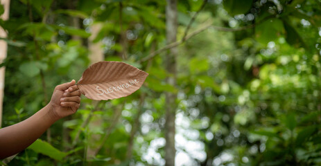 man shows  sustainable message that wrote on a dried leaf with forest and bokeh as background. concept for  sustainability