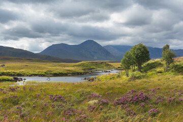Clach Leathad and Meall a Bhuiridh reflected in Lochan na Stainge on Rannoch Moor in Summer, Scotland