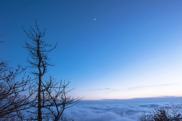 Beautiful sea of clouds at sunset on the top of the mountain.