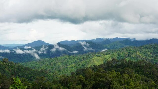 Fog caused by the integrity of the forest after the rain. Pilok, Kanchanaburi, Thailand. The environment.