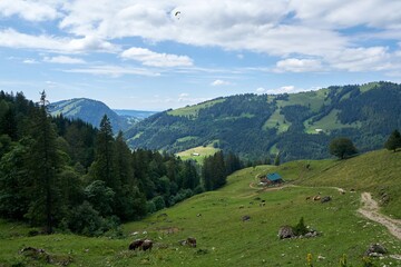 View a hiking trail near hochgrat mountain near oberstaufen in bavaria, allgäu alps