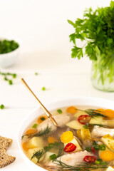 Chicken soup with fresh vegetables, chicken wings broth and young potatoes with onions and carrots, chopped green onions and parsley