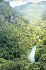 Fototapeta na wymiar Perspective view at Tara river valley in Durmitor mountains