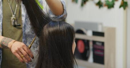 Woman hair cut in beauty salon