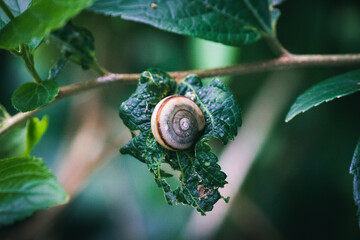 withdraw into myself