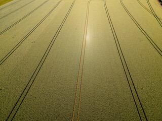 Landwirtschaft in s&uuml;d Deutschland