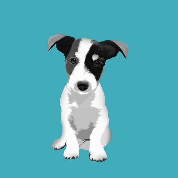 
little dog, jack russel terier, blue background, cute illustration