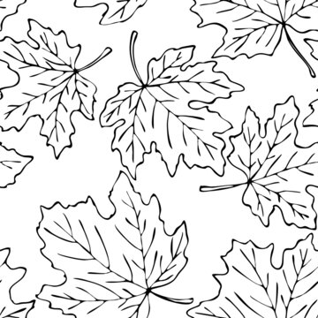 seamless pattern in monochrome colors, contours of maple leaves, ornament for wallpaper and fabrics, background for different designs
