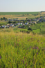 Fototapeta premium Beautiful view of a Russian village from the hill. Lovely little houses.